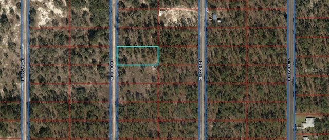 Listing photo 3 for TBD SE 134th Ct, Dunnellon FL 34431