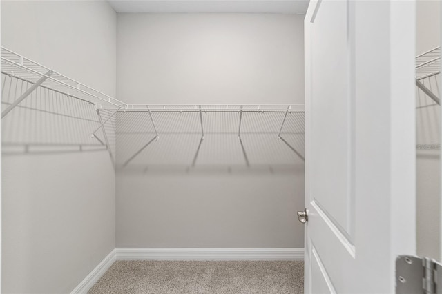 walk in closet with carpet