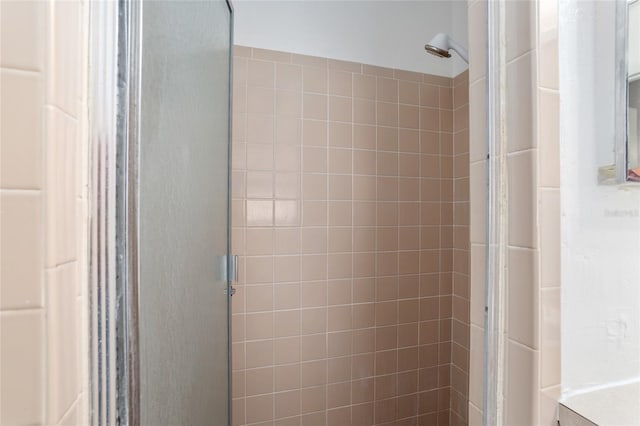 bathroom featuring a shower stall