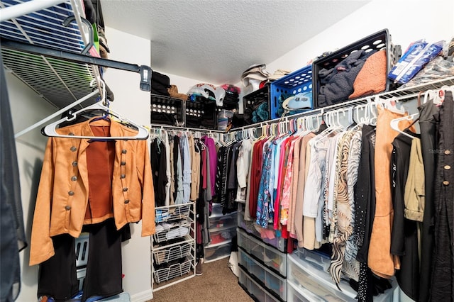 walk in closet with carpet floors