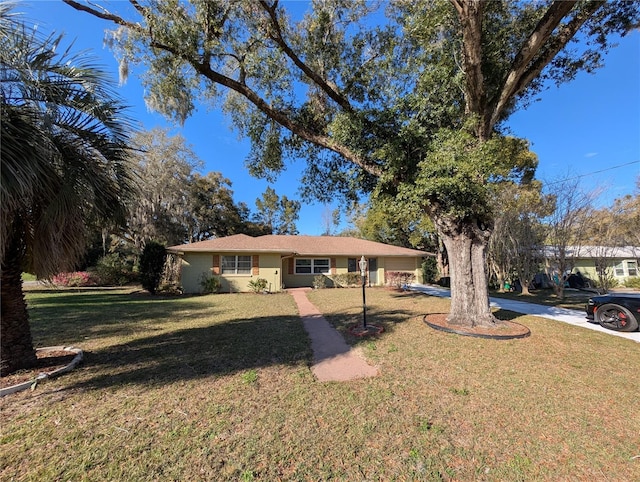 ranch-style home featuring a front yard