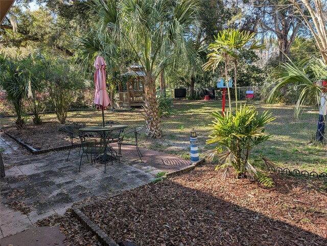 view of yard featuring a patio