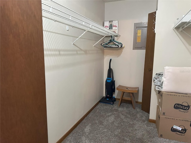 walk in closet with electric panel and carpet flooring