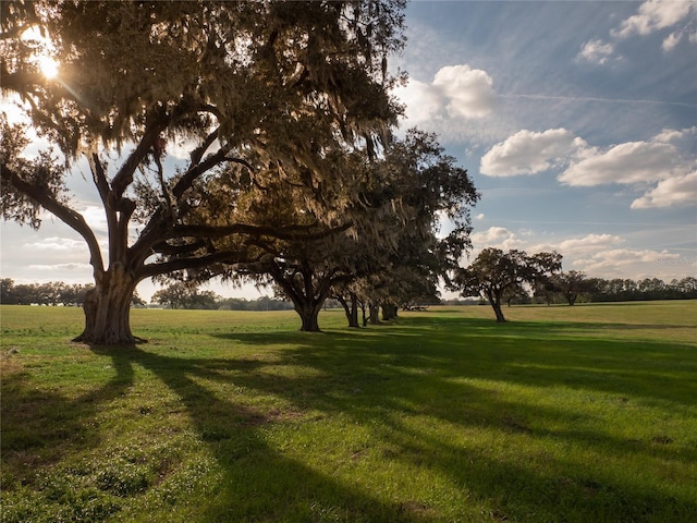 12894 NW Gainesville Rd, Reddick FL, 32686 land for sale