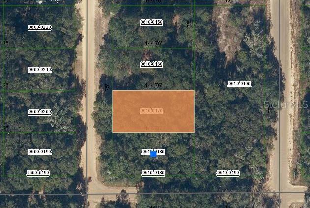 Marion Ave, Interlachen FL, 32148 land for sale