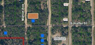 Listing photo 2 for Marion Ave, Interlachen FL 32148