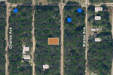 Annette, Interlachen FL, 32148 land for sale