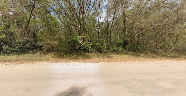 Listing photo 3 for Annette, Interlachen FL 32148