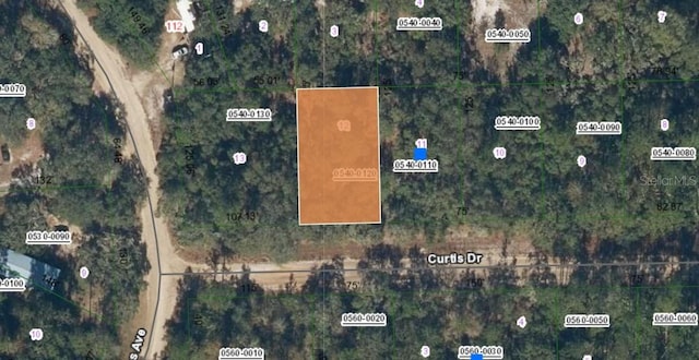 00 Curtis Dr, Interlachen FL, 32148 land for sale