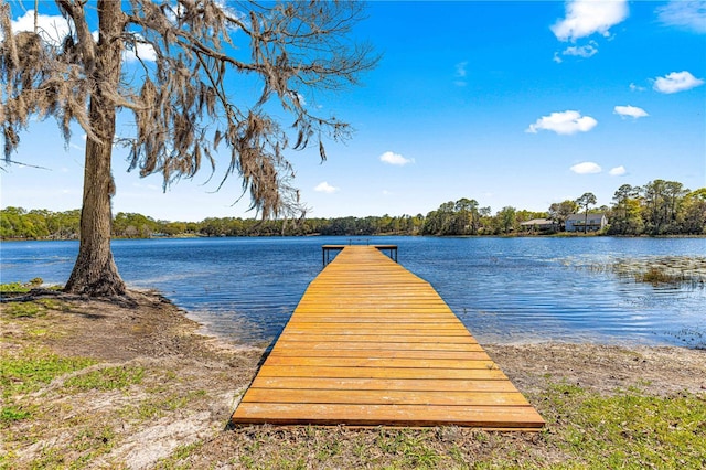 dock area featuring a water view