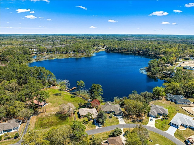 drone / aerial view with a view of trees and a water view