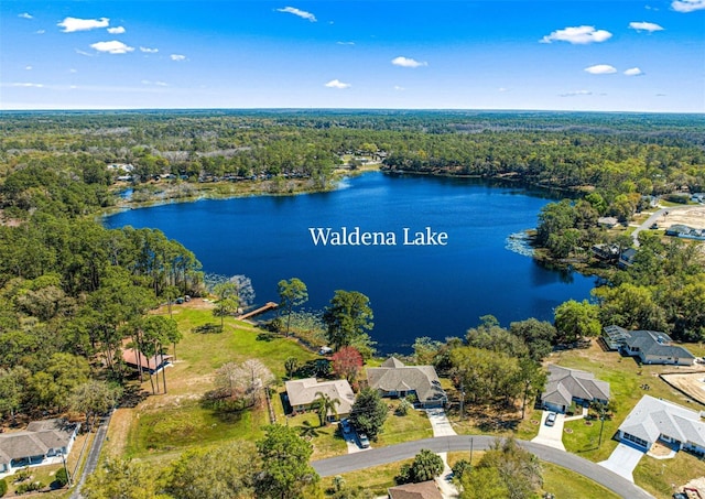 1192 NE 130th Ter, Silver Springs, FL 34488 - aerial perspective of suburban area with a heavily wooded area and a large body of water