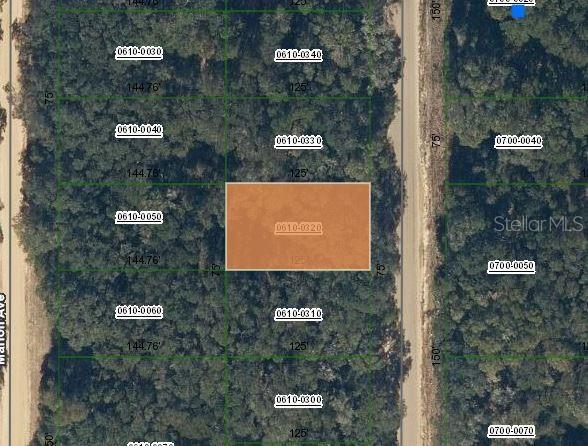 Annette Ave, Interlachen FL, 32148 land for sale