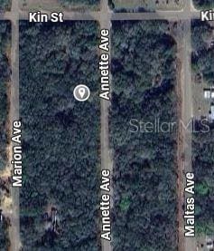 Listing photo 2 for Annette Ave, Interlachen FL 32148