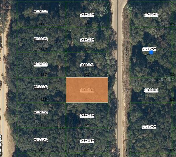 Annette Ave, Interlachen FL, 32148 land for sale