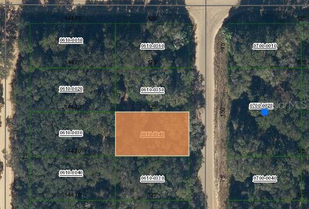 Annette Ave, Interlachen FL, 32148 land for sale