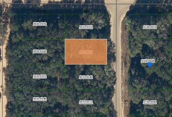 Annette Ave, Interlachen FL, 32148 land for sale