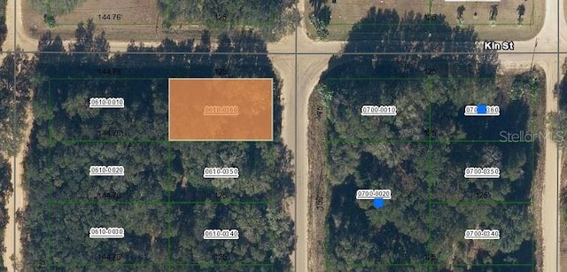 Annette Ave, Interlachen FL, 32148 land for sale