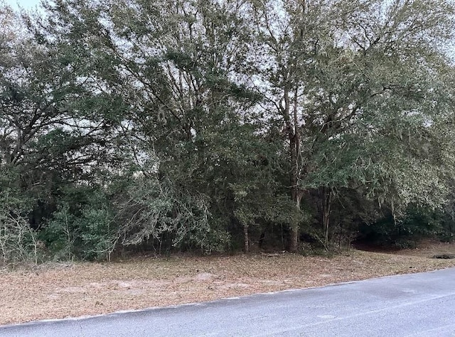 0 SW 55th Court Rd, Ocala FL, 34473 land for sale