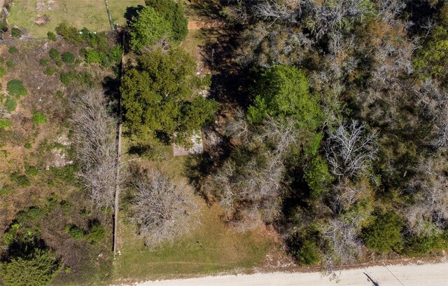 13835 SW 1st Ln, Ocala, FL 34481 - photo 6
