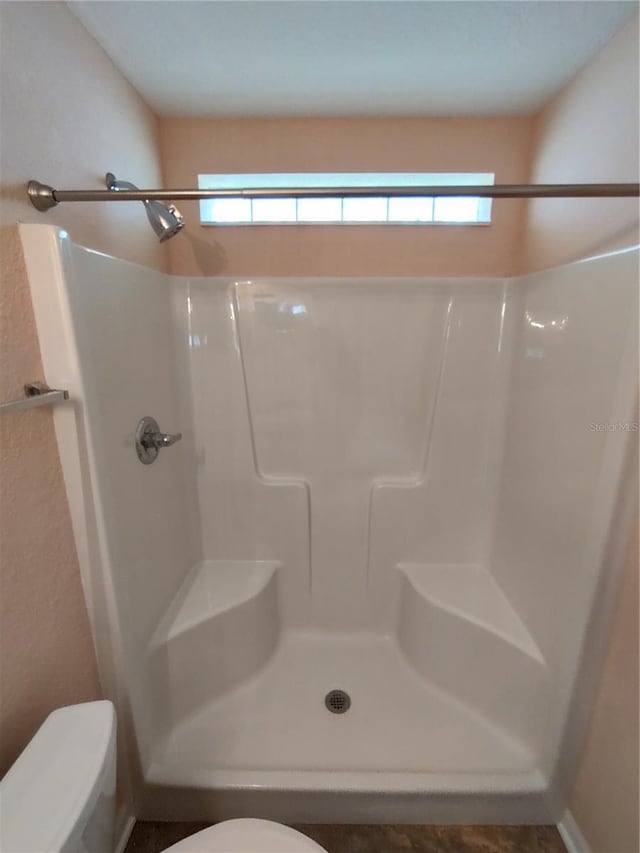 bathroom with walk in shower and toilet