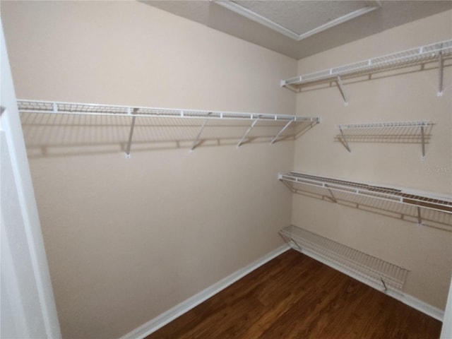 walk in closet with wood finished floors