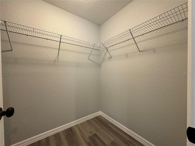 spacious closet with dark wood finished floors