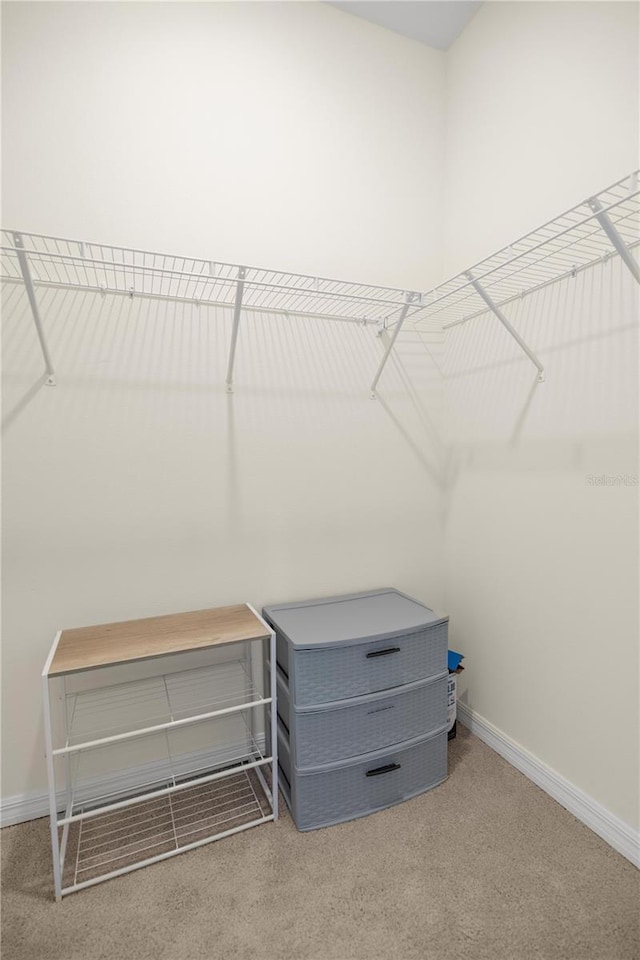 spacious closet with carpet floors