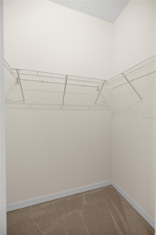 spacious closet featuring light colored carpet