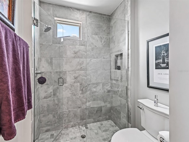 full bathroom featuring toilet and a shower stall