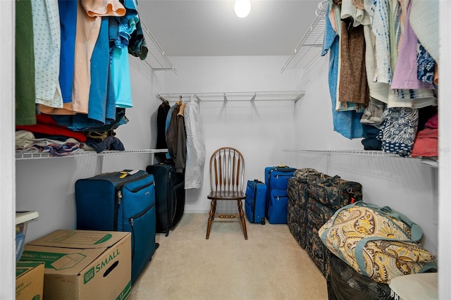 spacious closet featuring carpet floors