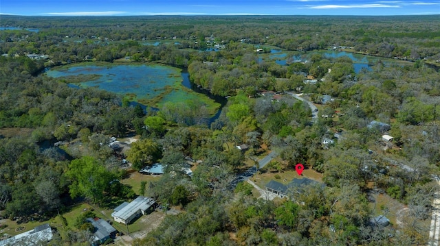 birds eye view of property with a view of trees and a water view