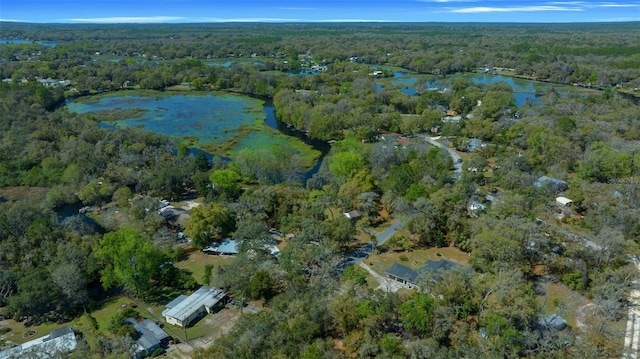 bird's eye view featuring a view of trees and a water view