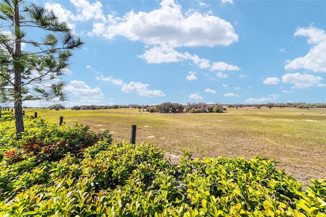 view of yard with a rural view