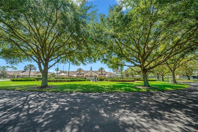 view of property's community with a residential view and a lawn