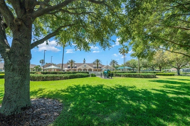 view of community featuring a yard and a residential view