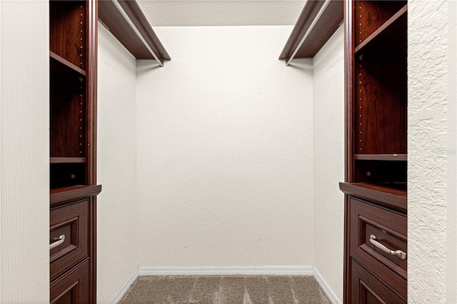 walk in closet featuring carpet flooring