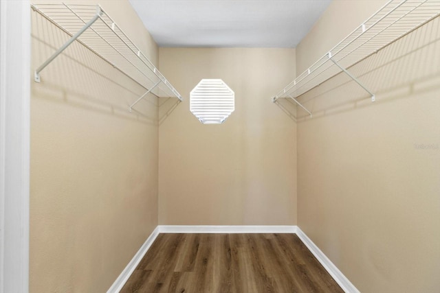 walk in closet featuring wood finished floors