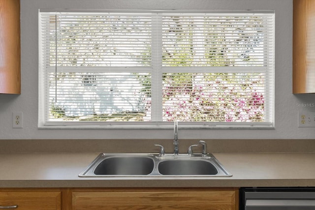 room details with dishwashing machine and a sink