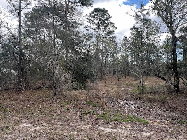 LOT16 SE 136th Ter, Dunnellon FL, 34431 land for sale