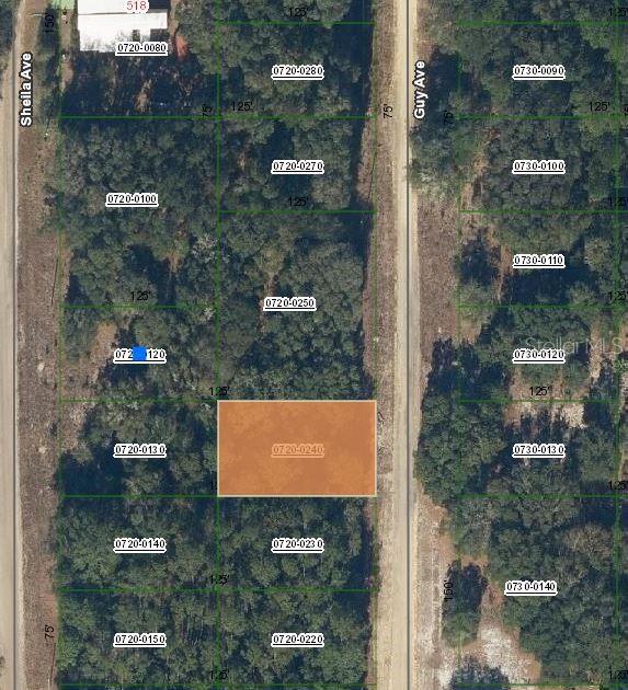 Guy Ave, Interlachen FL, 32148 land for sale