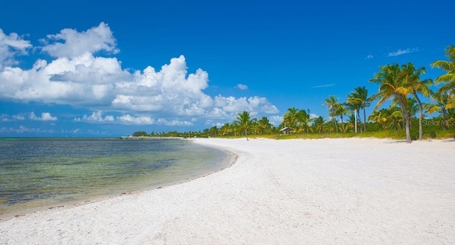 property view of water with a beach view