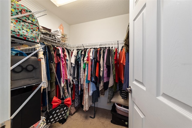 walk in closet featuring carpet