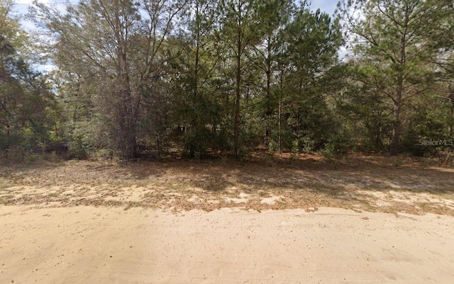 Listing photo 3 for Lenore Ave, Interlachen FL 32148