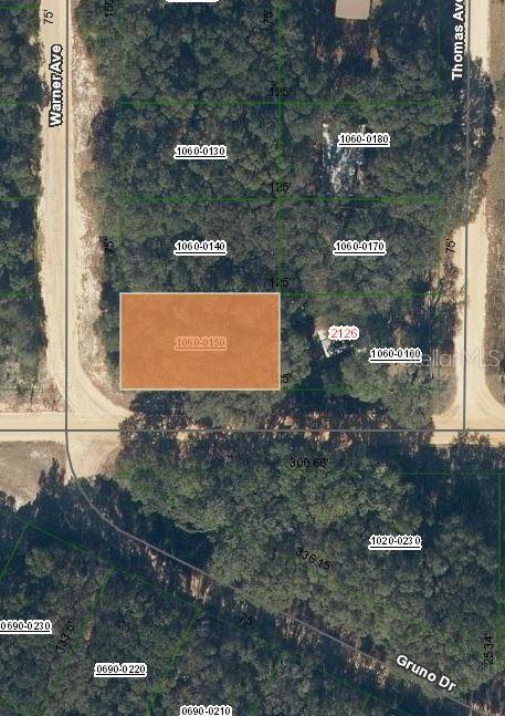 00 Denise St, Interlachen FL, 32148 land for sale