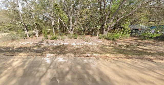 Listing photo 3 for 00 Denise St, Interlachen FL 32148