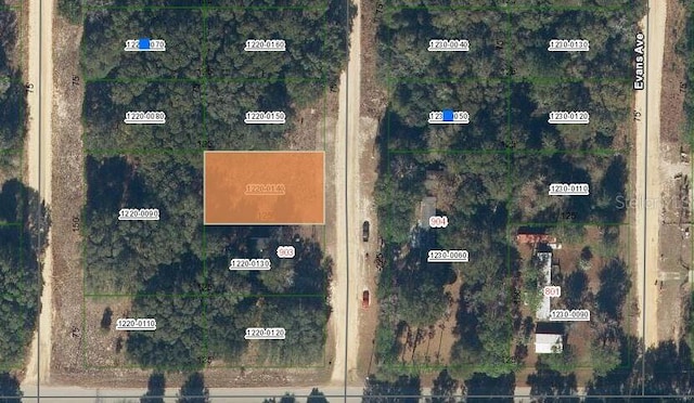 905 Janet Ave, Interlachen FL, 32148 land for sale