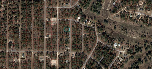 Listing photo 3 for LOT3 NE 151st Ave, Williston FL 32696