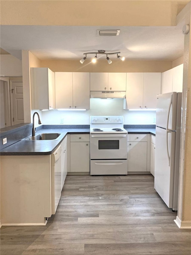 kitchen with white appliances, light wood finished floors, under cabinet range hood, and a sink