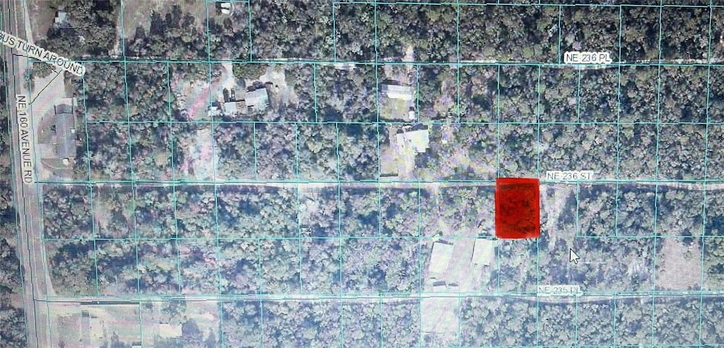 TBD NE 236th Street Rd # 10, Fort Mc Coy, FL 32134